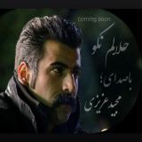 کاور آهنگ حلالم نکو