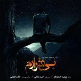 کاور آهنگ بی قرارم