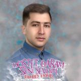 کاور آهنگ دوست دارم