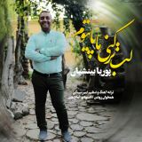 کاور آهنگ لب تر کنی ما
