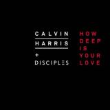 کاور آهنگ How Deep Is Your Love