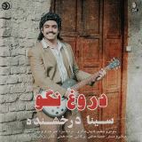 کاور آهنگ دروغ نگو