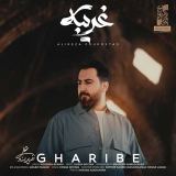 کاور آهنگ غریبه