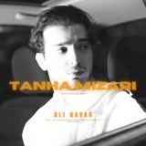 کاور آهنگ تنها میزاری
