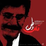 کاور آهنگ قلب وطن