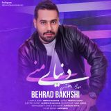 کاور آهنگ دنیای منی