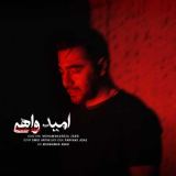 کاور آهنگ امید واهی