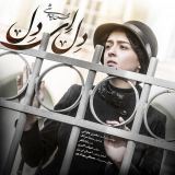 کاور آهنگ دل ای دل