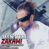 کاور آهنگ زخمی