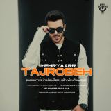 کاور آهنگ تجربه