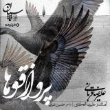 کاور آهنگ پرواز قوها