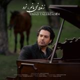 کاور آهنگ زنده نمی مانم نرو