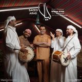 کاور آهنگ لیلا