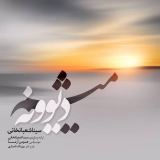 کاور آهنگ دیوونه میشم