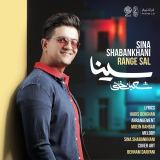 کاور آهنگ رنگ سال