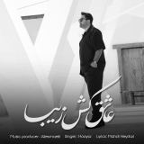 کاور آهنگ عاشق کش زیبا