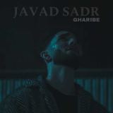 کاور آهنگ غریبه