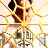 کاور آهنگ پیدا و پنهان