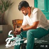 کاور آهنگ شانسم زده