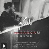 کاور آهنگ دلتنگم