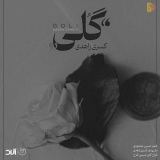 کاور آهنگ گلی جان