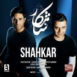 کاور آهنگ شاهکار
