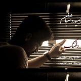 کاور آهنگ دلتنگ