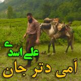 کاور آهنگ آمی دتر جان