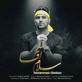 کاور آهنگ سلام آقا
