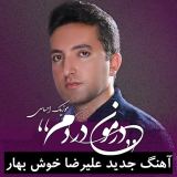 کاور آهنگ درمون دردم
