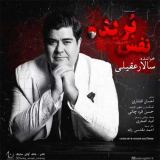 کاور آهنگ نفس بریده