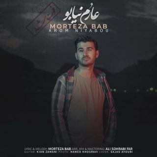 کاور آهنگ عارم نیابو از مرتضی باب