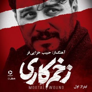 کاور آهنگ تیتراژ آغازین سریال زخم کاری از حبیب خزایی فر