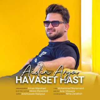 کاور آهنگ حواست هست از آیدین آریا