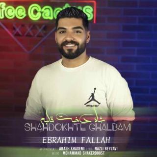 کاور آهنگ شاه دخت قلبم از ابراهیم فلاح
