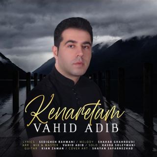 کاور آهنگ کنارتم از وحید ادیب