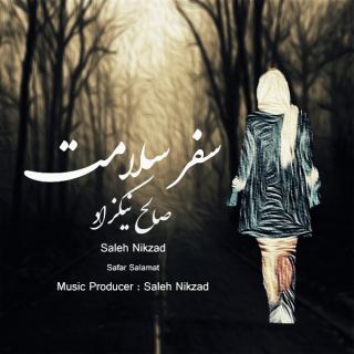 کاور آهنگ سفر سلامت از صالح نیکزاد