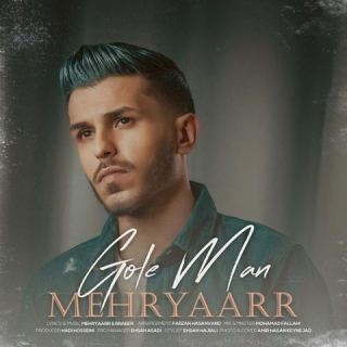 کاور آهنگ گل من از مهریار