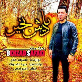 کاور آهنگ یادش بخیر از بهزاد صفایی