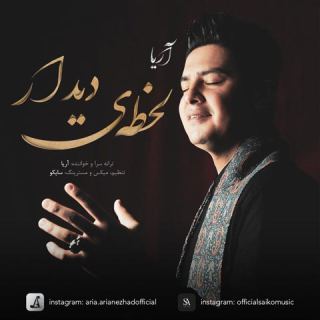 کاور آهنگ لحظه دیدار از آریا