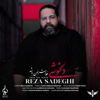 کاور آهنگ دلخوشی از رضا صادقی