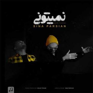 کاور آهنگ نمیتونی از سینا پارسیان