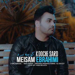 کاور آهنگ کوچه سرد از میثم ابراهیمی