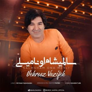 کاور آهنگ سالمیشام اونا میلی از بهروز وظیفه