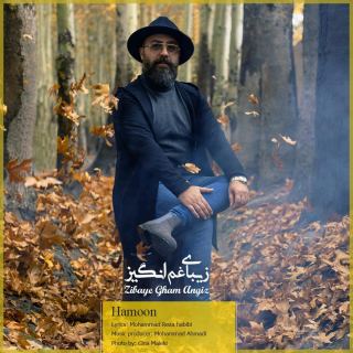 کاور آهنگ زیبای غم انگیز از هامون
