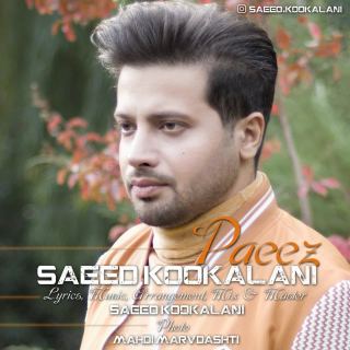 کاور آهنگ پاییز از سعید کوکلانی