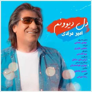 کاور آهنگ دل دیوونم از امیر مرادی