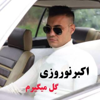 کاور آهنگ گل میگیرم از اکبر نوروزی