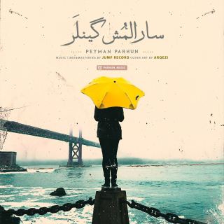 کاور آهنگ سارالمش گینلر از پیمان پرهون