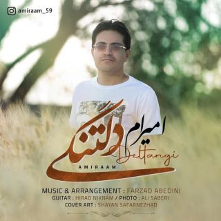 کاور آهنگ دلتنگی از امیرام